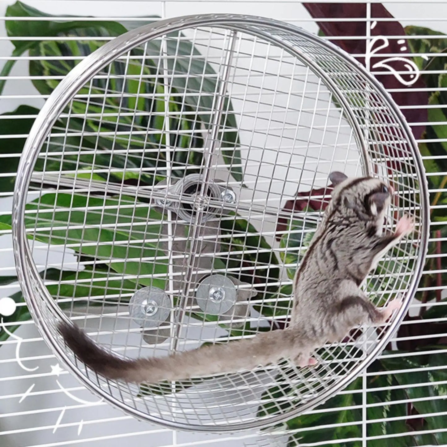 Metal Hamster Exercise Wheel