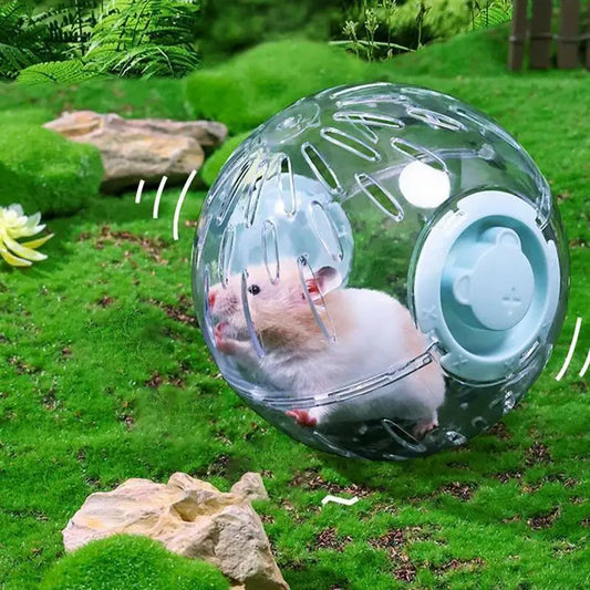 Hamster Exercise Ball