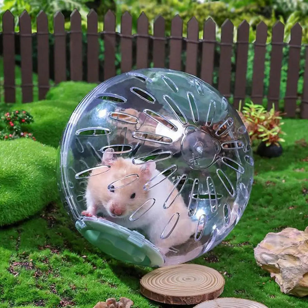 Hamster Exercise Ball