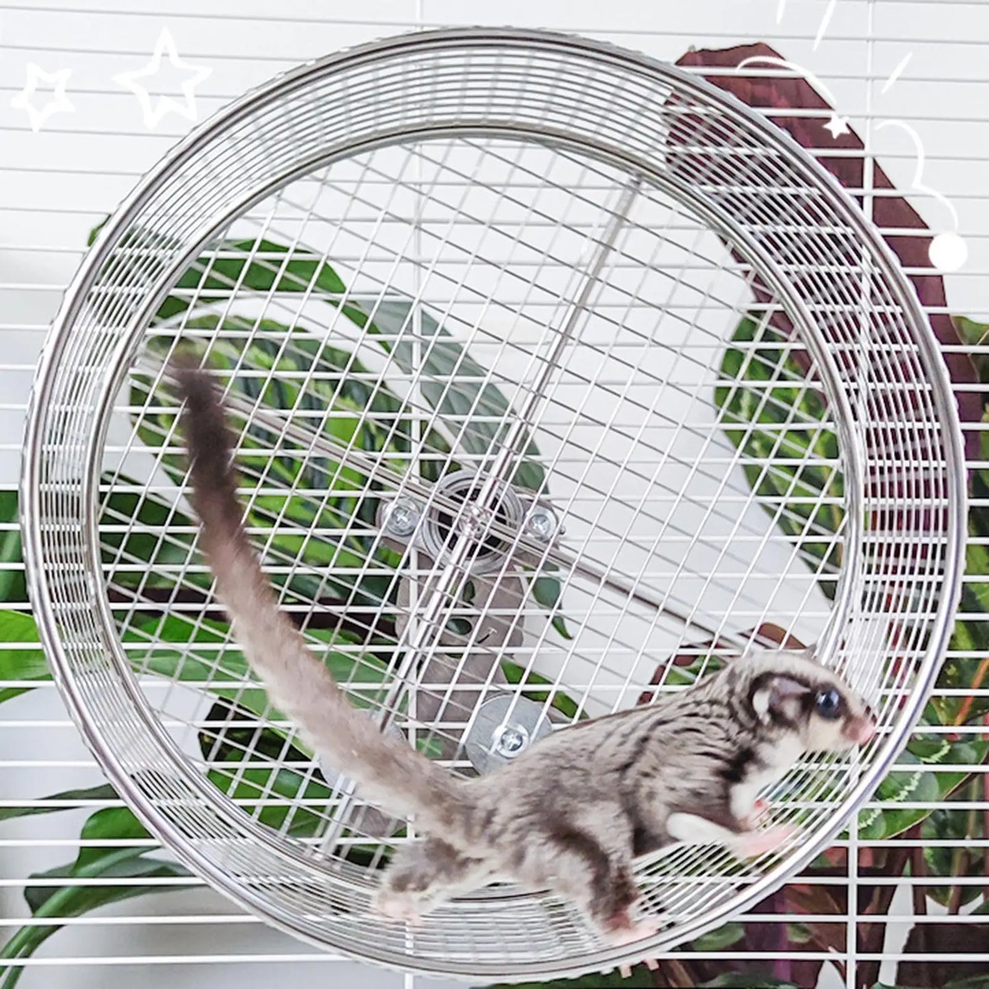 Metal Hamster Exercise Wheel