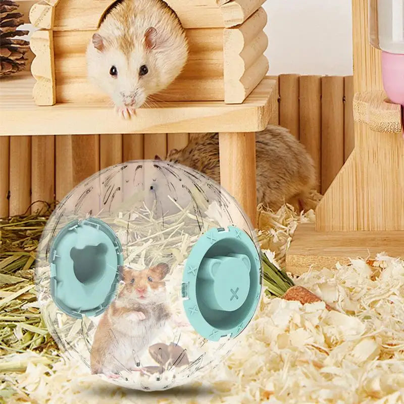 Hamster Exercise Ball