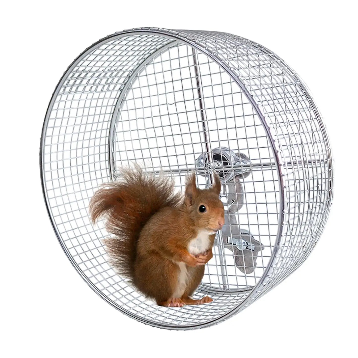 Metal Hamster Exercise Wheel