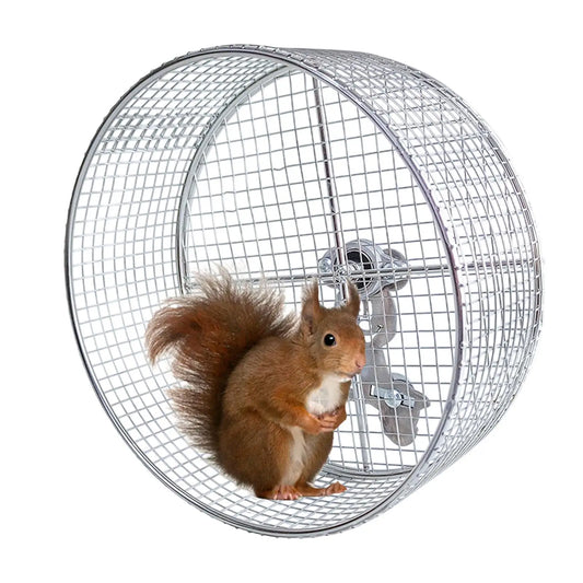 Metal Hamster Exercise Wheel