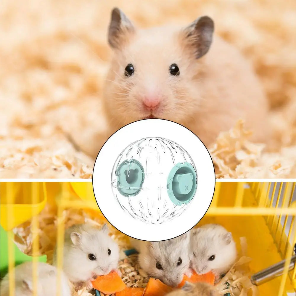 Hamster Exercise Ball